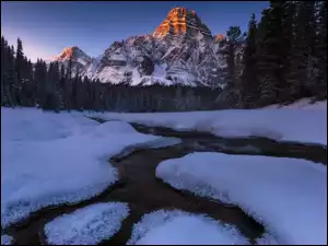 Zima, Alberta, Rzeka, Mount Chepren, Drzewa, Park Narodowy Banff, Góry, Kanada, Szczyt