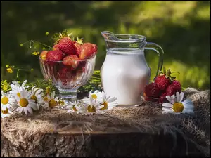 Truskawki i dzbanek mleka na pniu