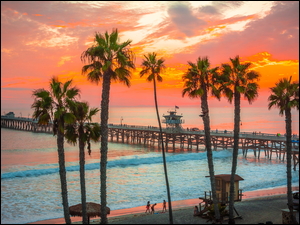 Palmy na plaży i molo w San Clemente