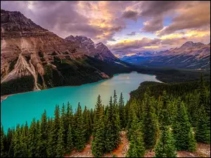 Kanada, Canadian Rockies, Alberta, Drzewa, Park Narodowy Banff, Chmury, Jezioro Peyto Lake, Góry, Lasy