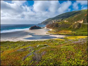 Big Sur, Morze, Plaża, Kalifornia, Góry, Wybrzeże, Stany Zjednoczone, Kwiaty
