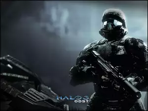 Halo, Karabin