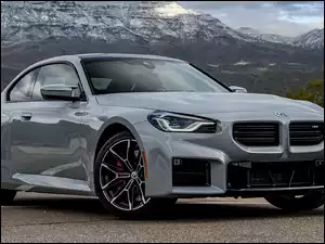 BMW M2 Coupe, Szare