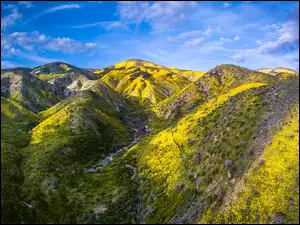 Góry w Carrizo Plain National Monument