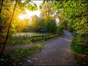 Staw, Park, Droga, Ogrodzenie