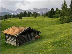 Kwiaty, Góry, Łąka, Szopa, Drzewa