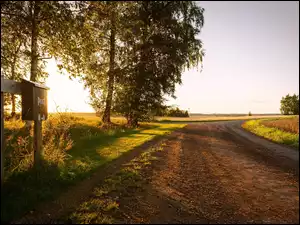 Skrzynka pocztowa, Droga, Drzewa