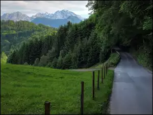 Góry, Droga, Drzewa, Trawa, Las, Łąka
