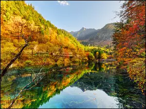 Kolorowe drzewa nad jeziorem w Parku Narodowym Jiuzhaigou