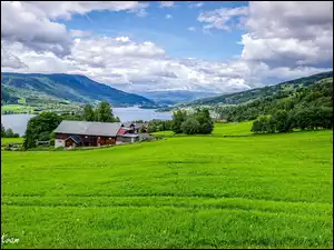 Domy na polu nad jeziorem
