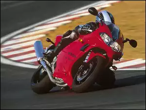 Kolano, Triumph Daytona 955i, Tor