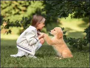 Trawa, Dziewczynka, Szczeniak, Golden retriever