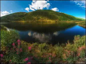 Góra, Jezioro, Zalesiona