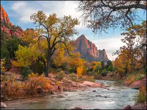 Góry Watchman, Drzewa, Stany Zjednoczone, Park Narodowy Zion, Stan Utah, Kamienie, Rzeka Virgin River