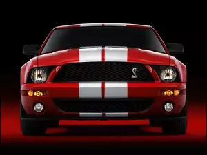 Shelby, Halogeny, Ford Mustang, Czerwony