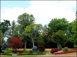 Niebo, Park, Drzewa, Jesienne