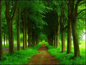 Droga, Park