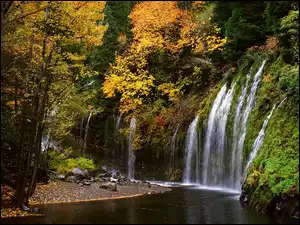 Mossbrae Falls Kalifornia, Las, Wodospad