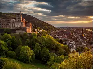 Rzeka Neckar, Niemcy, Drzewa, Zamek w Heidelbergu, Heidelberg