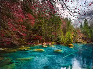 Kanton Bern w Szwajcarii z jeziorem Blausee