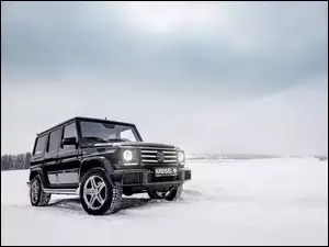 Mercedes G-Class W463