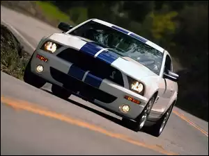 Shelby, Ford Mustang