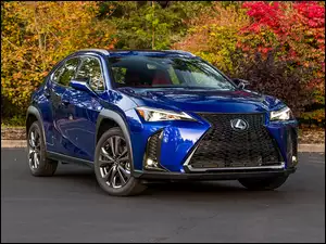 Lexus UX200 F Sport