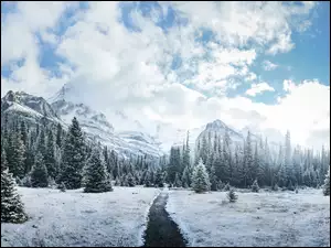 Kanada, Góry, Kolumbia Brytyjska, Chmury, Park Narodowy Yoho, Canadian Rockies, Drzewa, Zima, Droga
