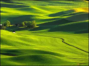 Farma na zielonych wzgórzach Palouse