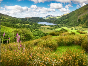 Łąki i jezioro Llyn Gwynant
