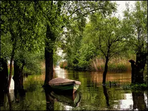 Austria, Łódka, Rzeka