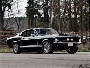 Ford Mustang GT350 z 1967 roku