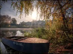 Rosja, Drzewa, Obwód iwanowski, Szochonka, Plos, Łódka, Domy, Jesień, Rzeka