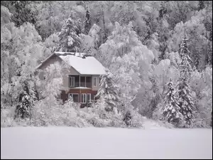 Dompod ośnieżonymi drzewami