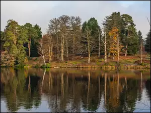 Rzeka, Anglia, Drzewa, Jesień, Windsor Park