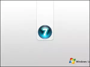Windows 7, Szary