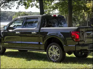 Ford F-150 Platinum