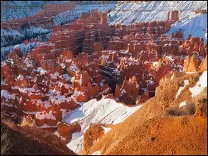 Śnieg, Rośliny, Stany Zjednoczone, Skały, Utah, Park Narodowy Bryce Canyon, Kanion