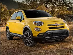 Fiat 500X Trekking