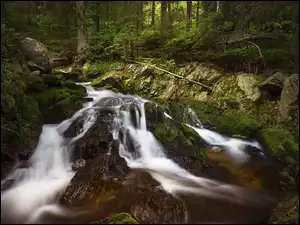 Rzeka, Las, Drzewa, Skały
