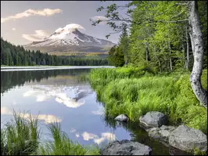 Góry, Stany Zjednoczone, Jezioro, Chmury, Kamienie, Trawa, Oregon, Stratowulkan, Odbicie, Drzewa, Brzeg, Las, Mount Hood