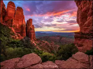 Arizona, Stany Zjednoczone, Sedona, Drzewa, Skały, Zachód słońca