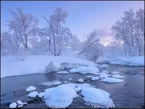 Ośnieżona, Drzewa, Rzeka, Zima, Śnieg