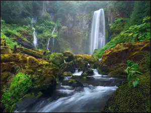 Stany Zjednoczone, Las, Gifford Pinchot National Forest, Skały, Rzeka, Wodospad, Kamienie, Omszone, Głazy, Oregon