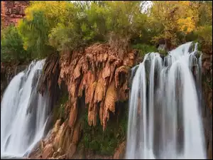 Wodospad, Roślinność, Arizona, Stany Zjednoczone, Fifty Foot Falls