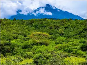 Park Narodowy Arusha w Tanzanii