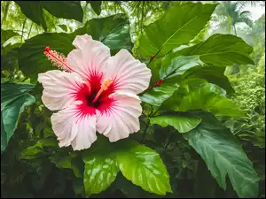 Zielone, Kwiat, Hibiskus, Liście