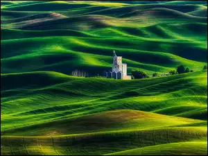 Stany Zjednoczone, Drzewa, Stan Waszyngton, Steptoe Butte State Park, Region Palouse, Łąki, Pola, Wzgórza, Budowla