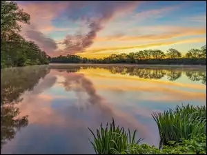 Chmury, Wschód słońca, Jezioro Sterenbachsee, Niemcy, Drzewa, Dolina Wittlicha