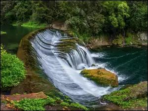 Roślinność, Skały, Mech, Maraetotara Falls, Wyspa Północna, Nowa Zelandia, Rzeka, Hastings, Wodospad, Drzewa